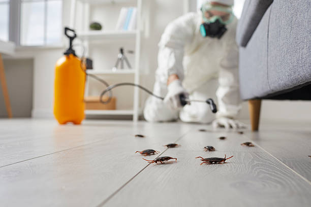 Post-Treatment Bed Bug Interceptor Monitoring in Lake Waccamaw