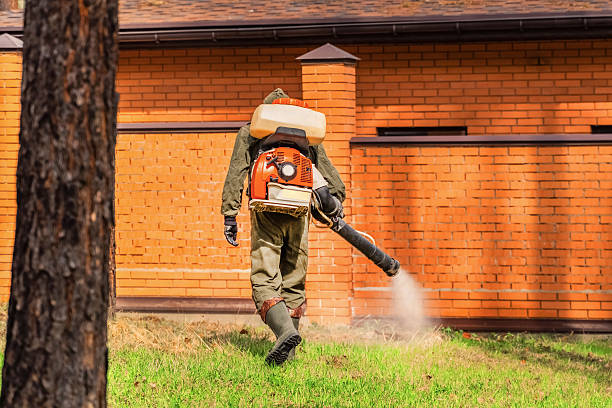 Bed Bug Clearance Verification and Documentation in Lake Waccamaw